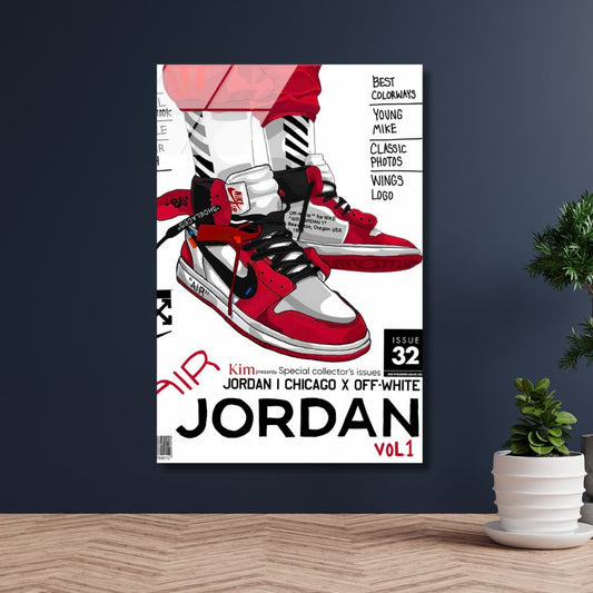 Air Jordans  Special Collector Issue